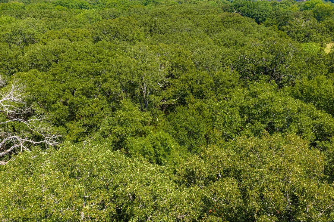 Photo of 11748 River Ranch Road
