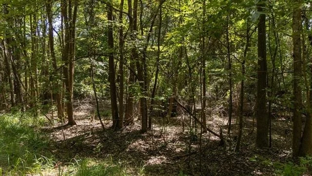 Photo of 21980 Barron Road