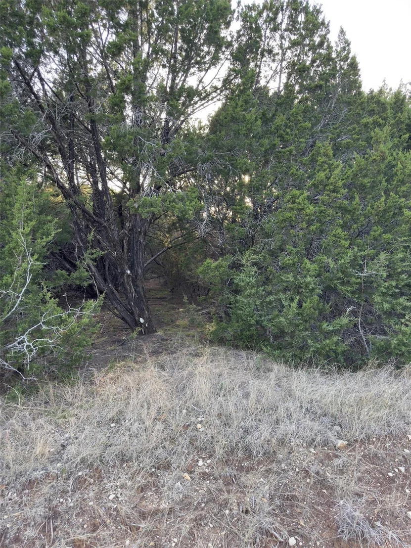 Photo of 22295 Westmeadow Drive