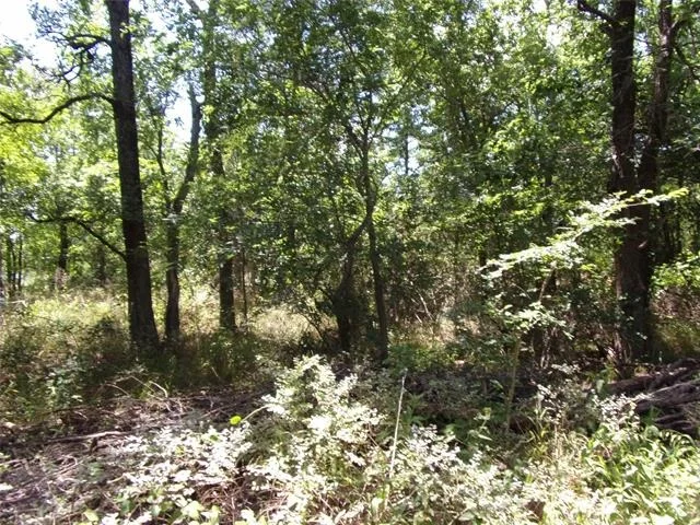 Photo of 4172 Willow Oak Bend