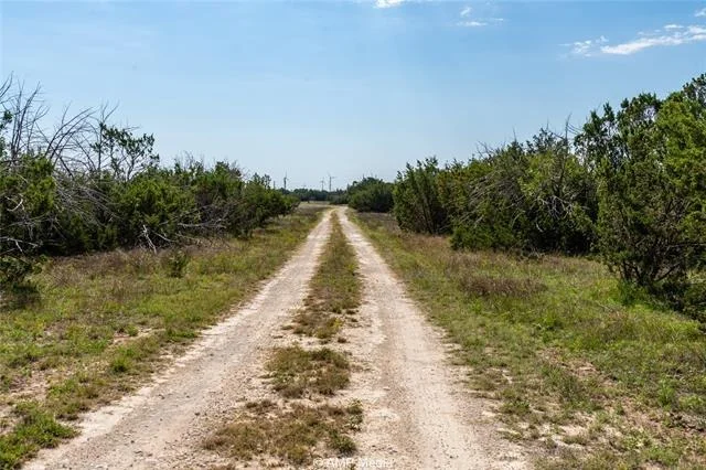 Photo of 1982 CR 351