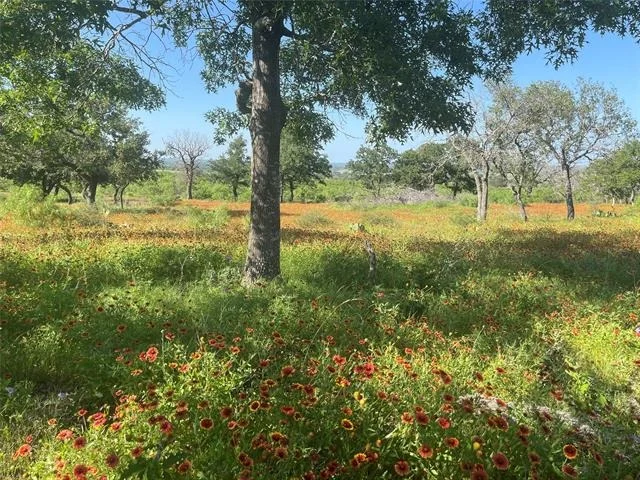Photo of 24 County Road 510
