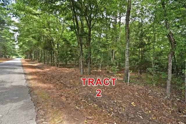 Photo of Tract 2 County Road 3117