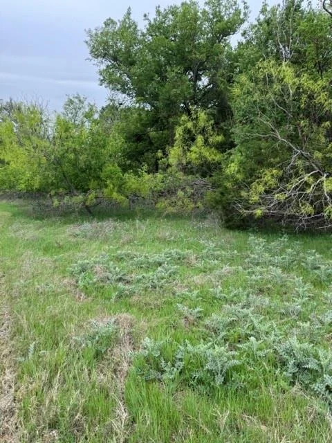 Photo of 17082 Faircrest Drive