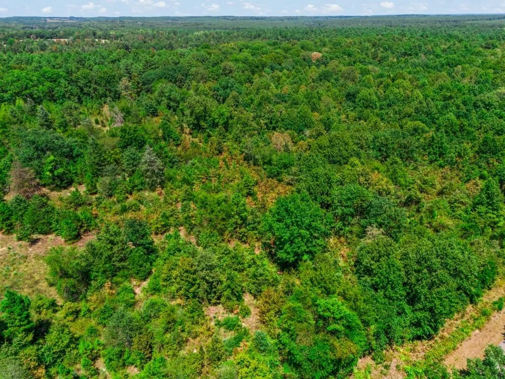 Photo of TBD CR 3854 4.542 Acres