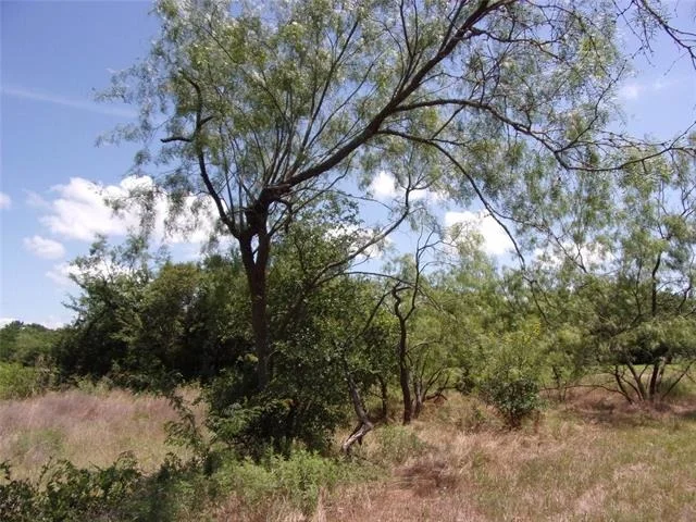 Photo of 4172 Willow Oak Bend