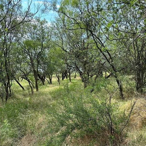 Photo of Tract 19 CR 150