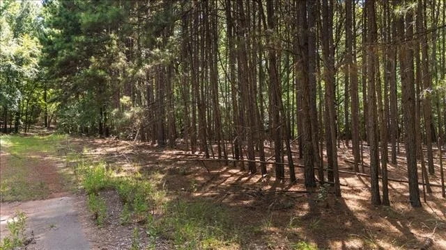 Photo of 21980 Barron Road