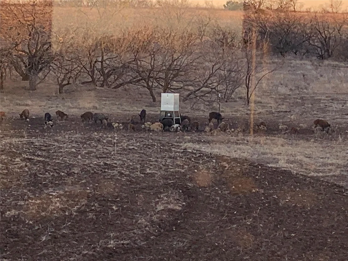 Photo of TBD 212 Acres CR 498