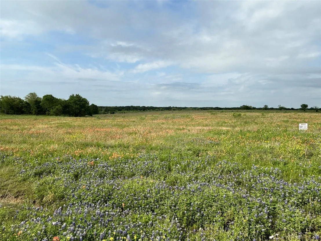 Photo of TBD PR 373 County Road 3373
