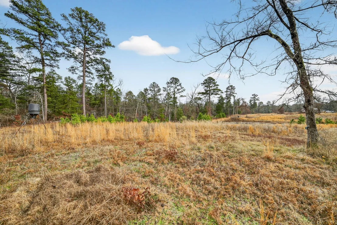 Photo of 868 County Road 2920