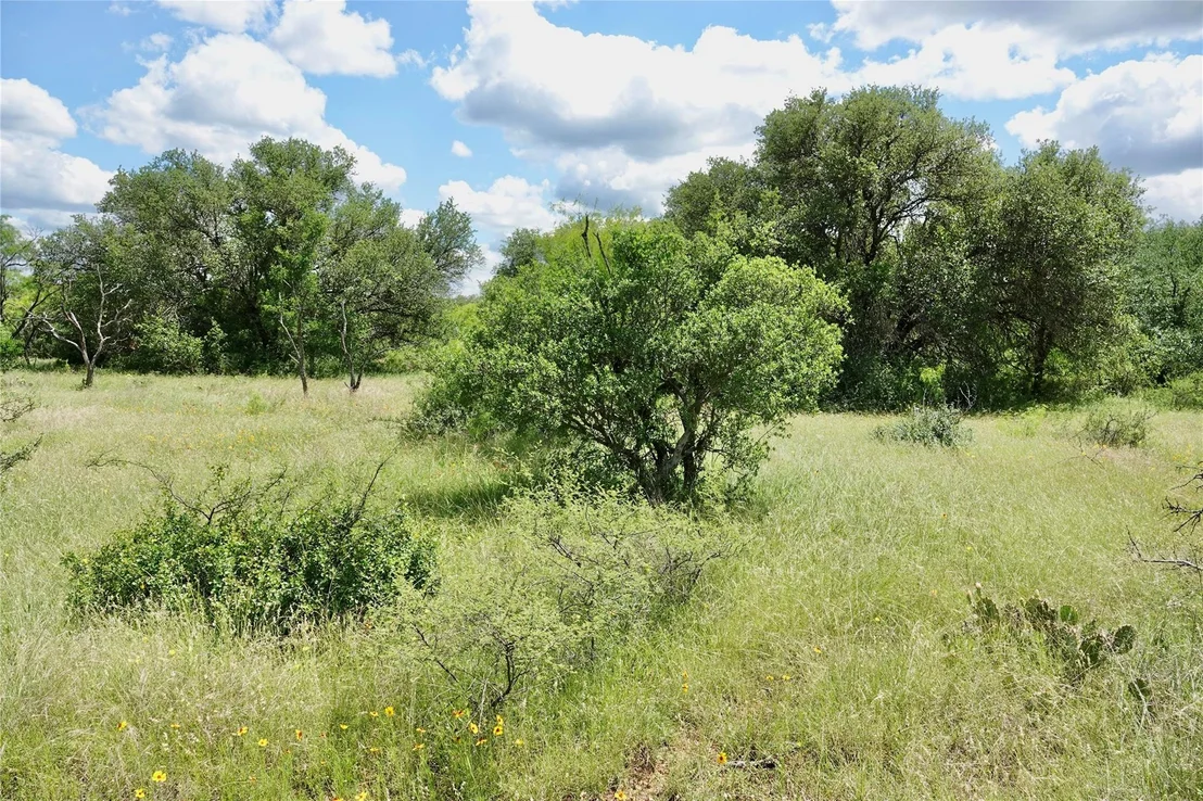 Photo of 219 CR 550