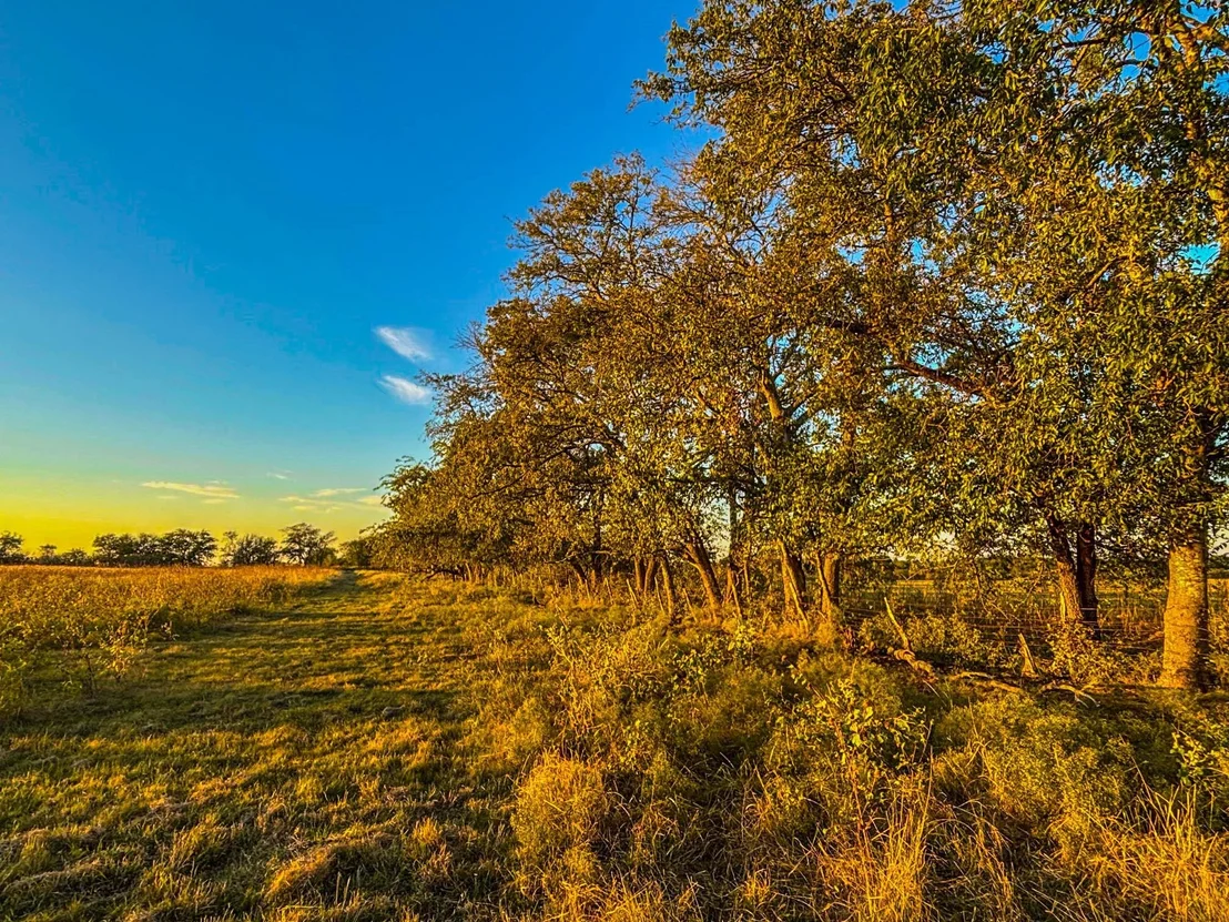 Photo of 515 County Road 262