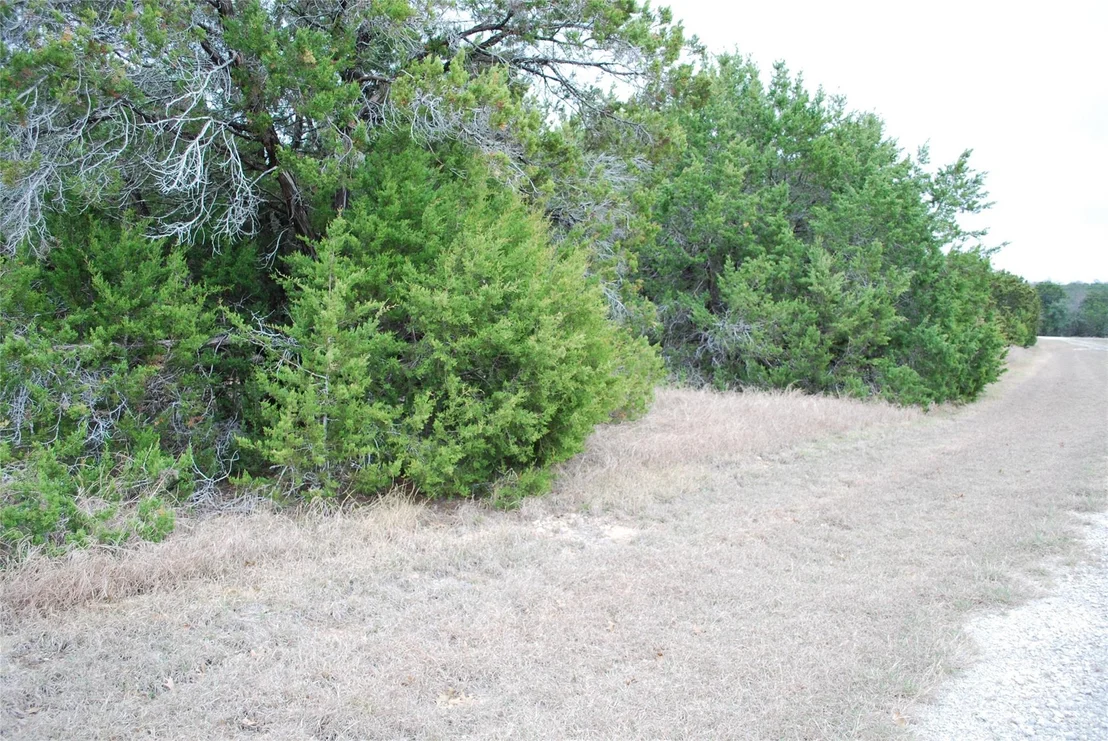 Photo of 43111 Indian Blanket Drive