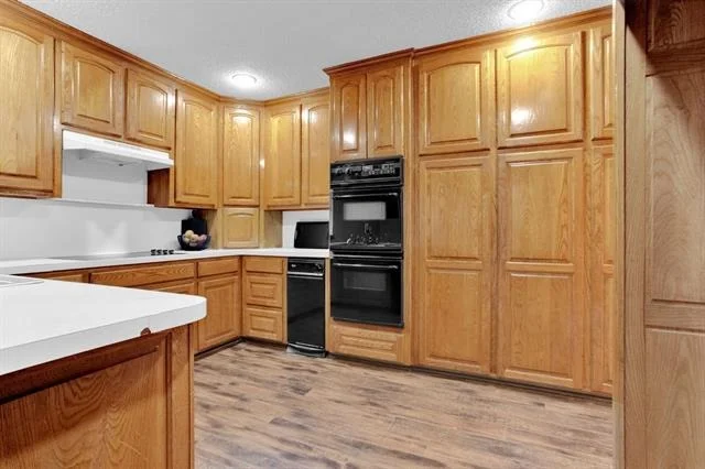 Photo of 1633 Brookhollow Drive