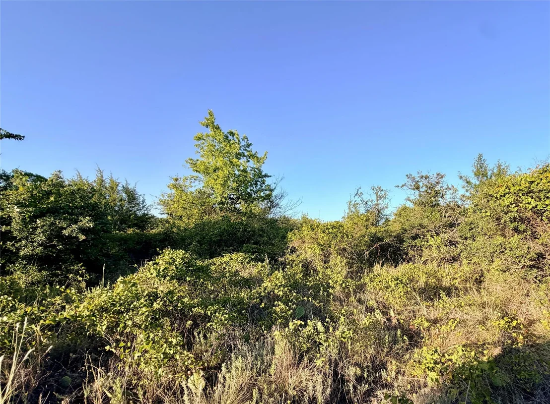Photo of 37 Pr 224