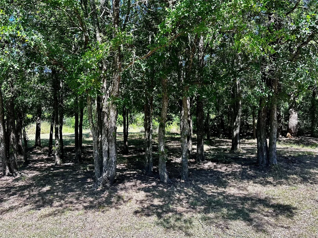 Photo of 25300 State Highway 279