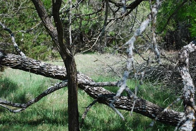 Photo of 19016 Bluebonnet Drive