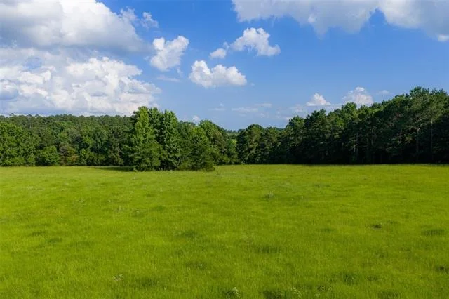Photo of 2030 County Road 1640