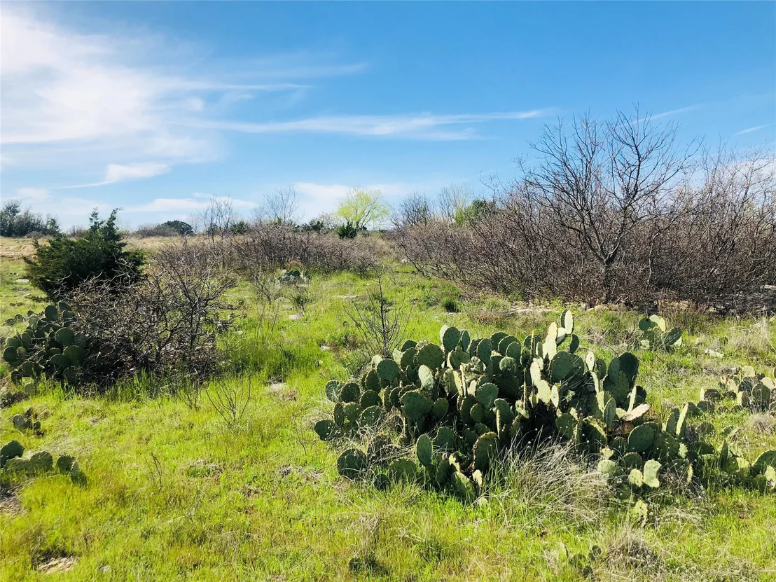Photo of Lot 220 Oak Tree Drive