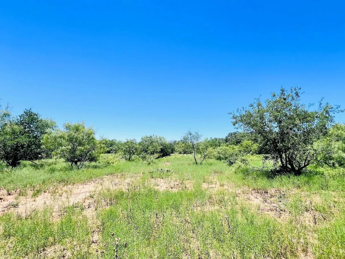 Photo of 1349 County Road 152