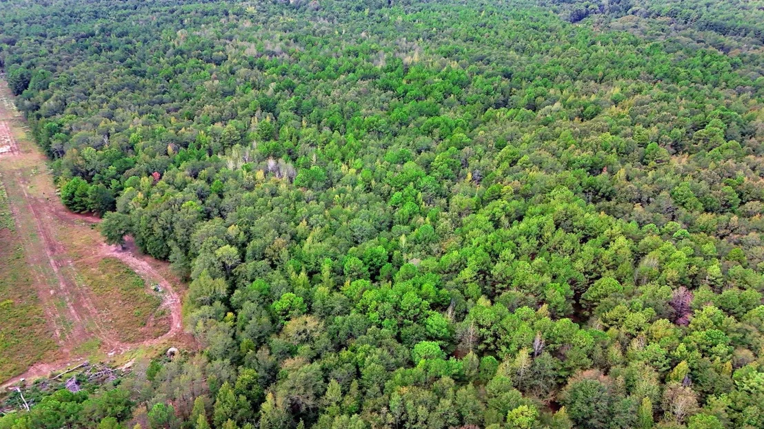 Photo of 448 County Road 3955