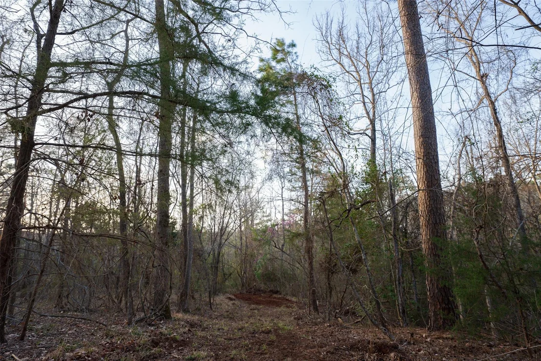 Photo of 2265 County Road 1613