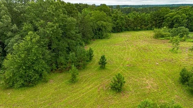 Photo of 806 County Road 4910