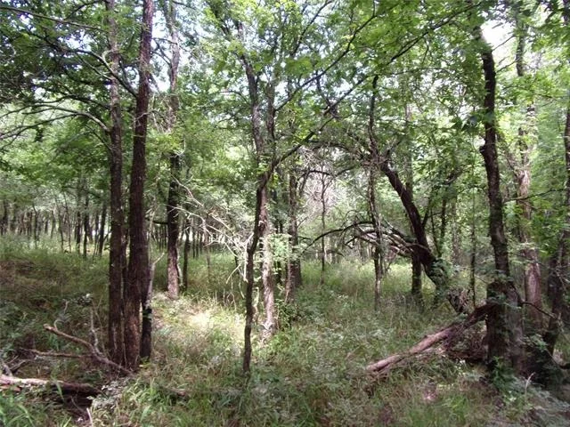 Photo of 4188 Willow Oak Bend