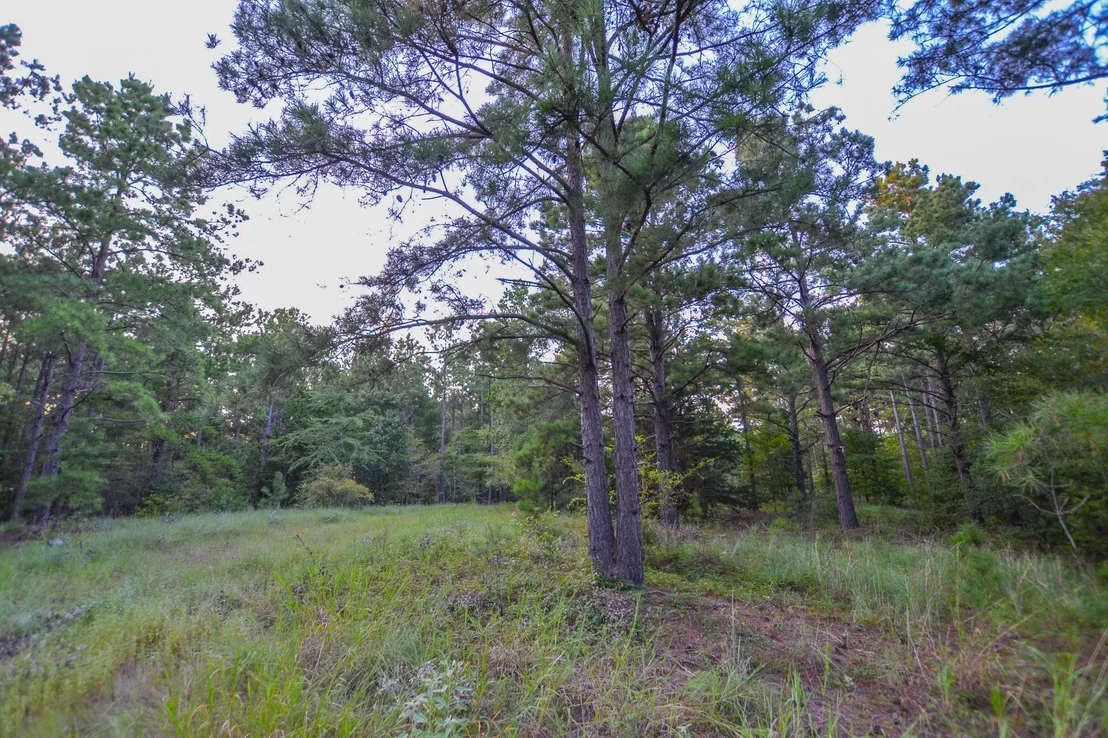 Photo of Tract 3 Hwy 155