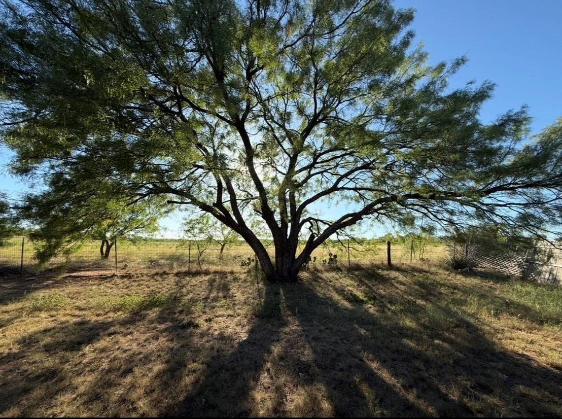 Photo of 7710 US Highway 84