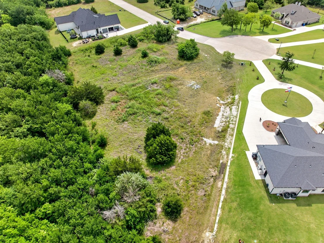 Photo of 4174 weeping oak