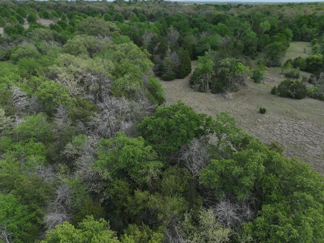 Photo of TBD Mitchell Road