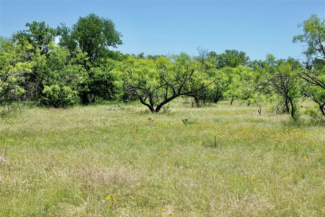 Photo of 219 CR 550