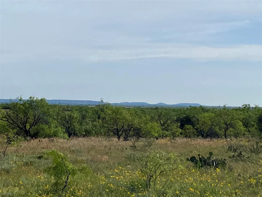 Photo of TBD 212 Acres CR 498