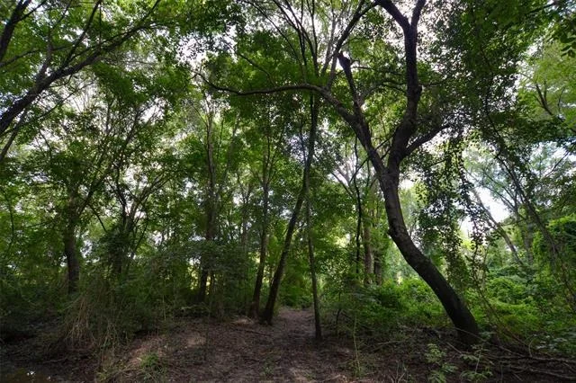Photo of 8690 County Road 1119