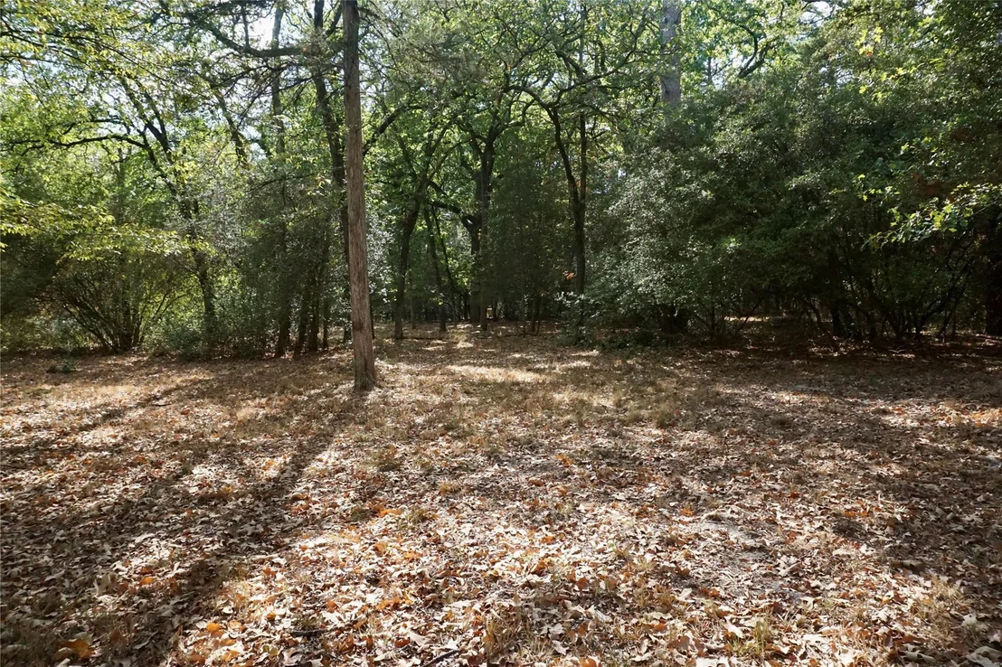 Photo of TBD Lot 146 (Evening Shadows Trail) Trail
