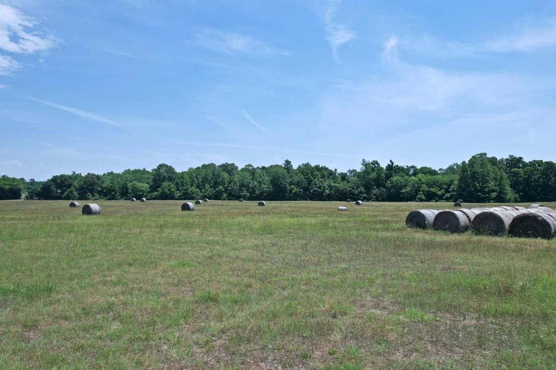 Photo of 258 County Road 3199