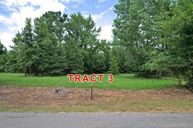 Photo of Tract 3 County Road 3117