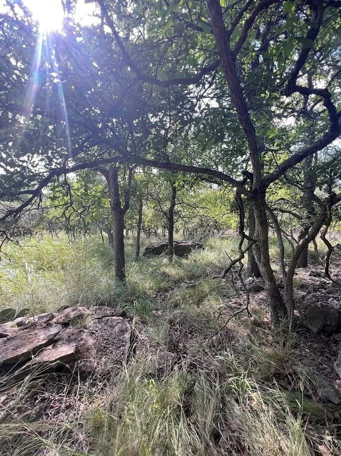 Photo of 927 Cutter Circle