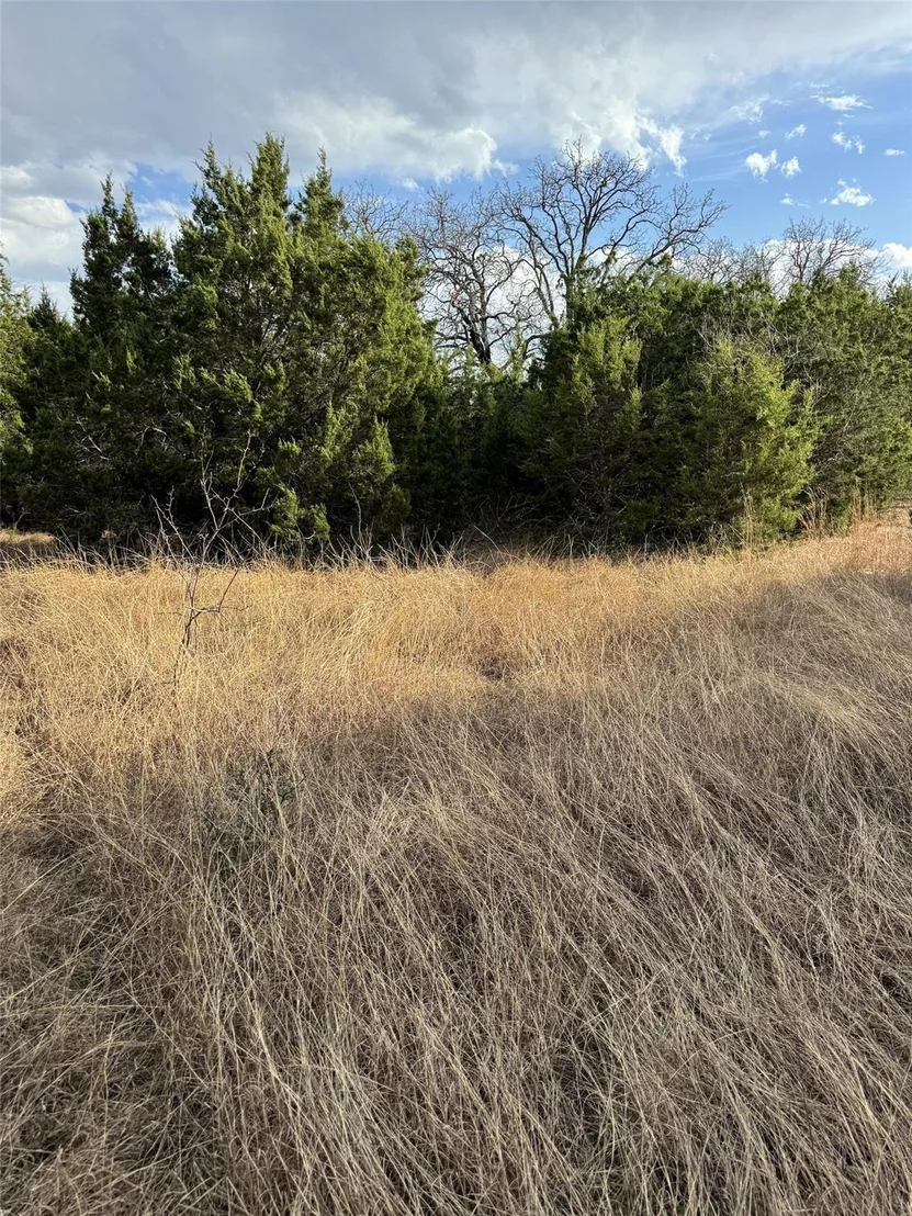 Photo of 32039 Dove Trail