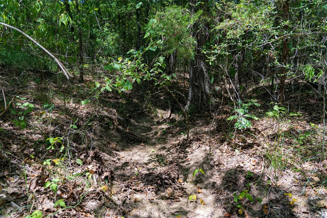 Photo of 11748 River Ranch Road