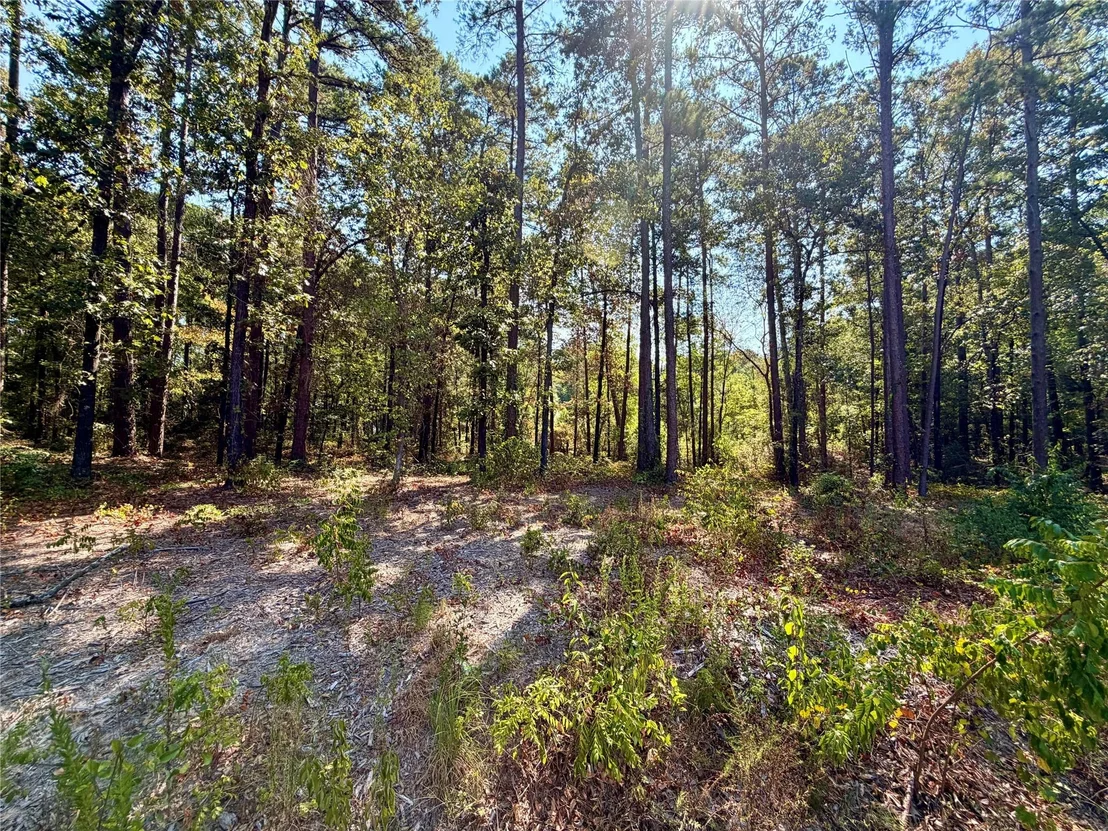 Photo of 18084 Deer Trail