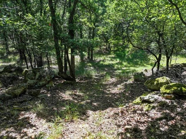 Photo of 18156 Hwy 281 N