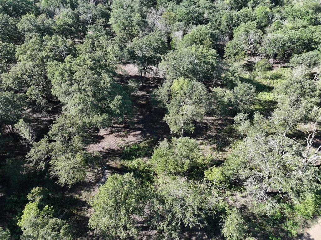 Photo of 8602 CR 2448