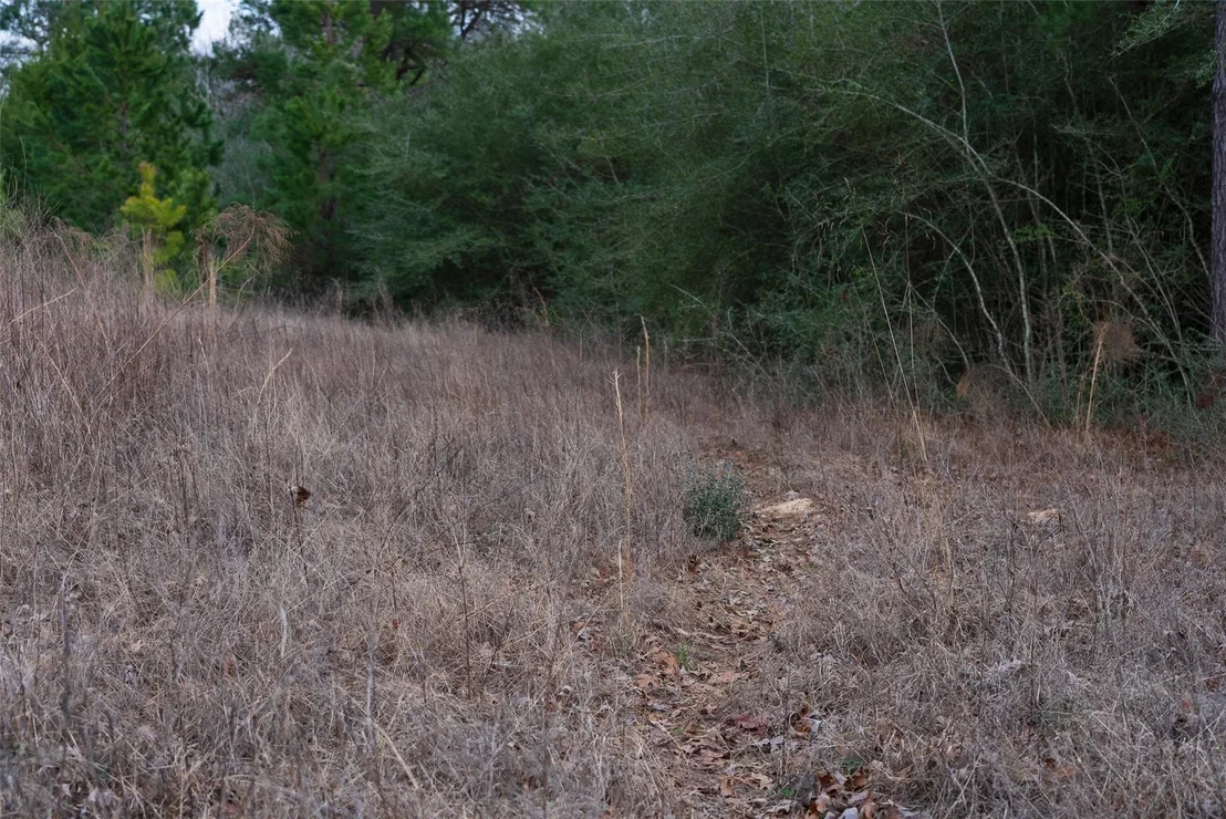 Photo of 9190 County Road 2136 N