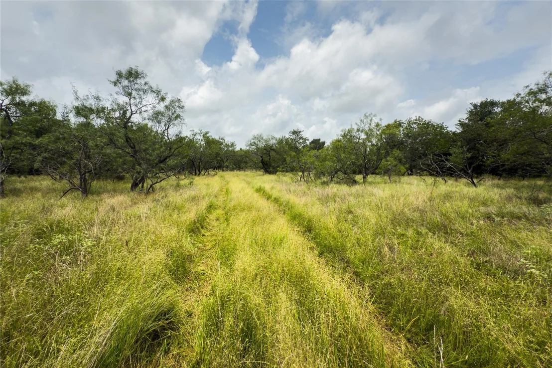 Photo of Lot 9 County Road 173