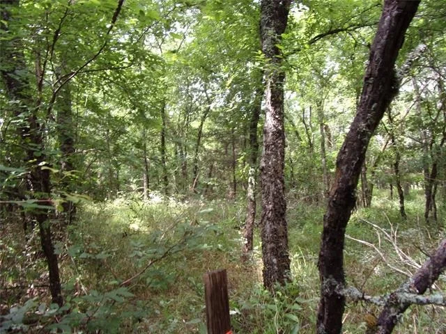 Photo of 4188 Willow Oak Bend