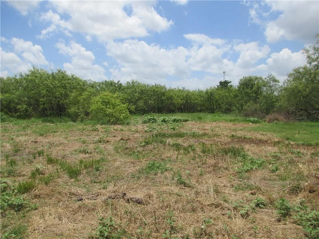 Photo of 00 Roosevelt Street