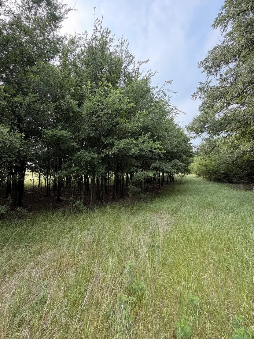 Photo of 345 CR 3346